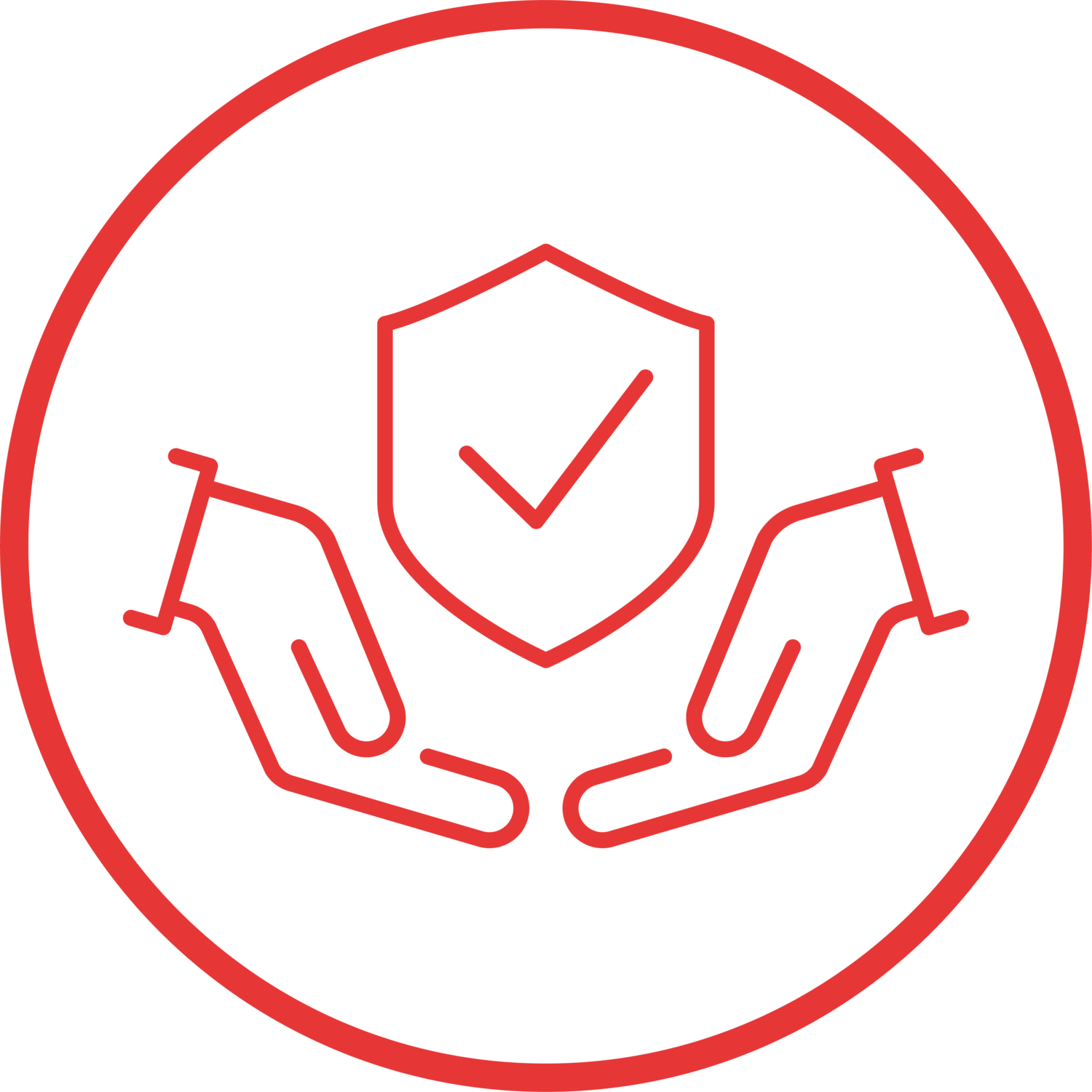 icon - /uploads/s/b/w/t/bwt4zuhwxerd/img/full_AEfUmTFA.png